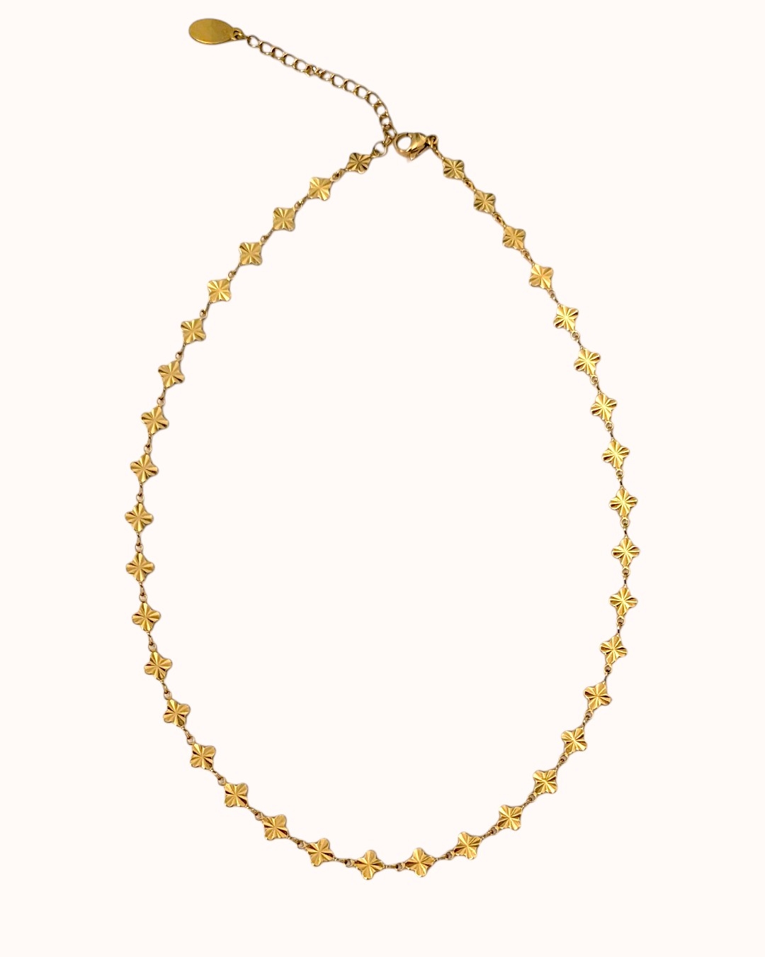 PXL_20250730_170324341 (1) (19) Cloveline Choker - Image 1